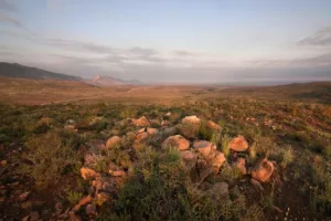 Karoo Desert