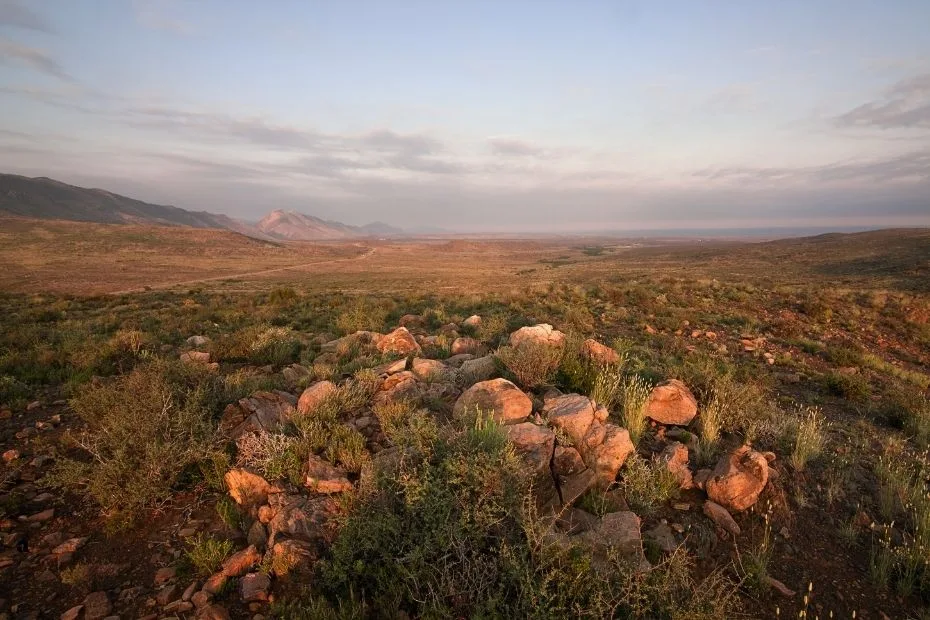 Karoo Desert (1)