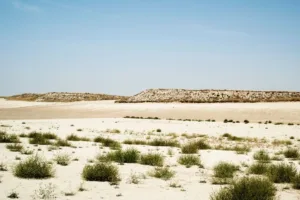 Monegros Desert