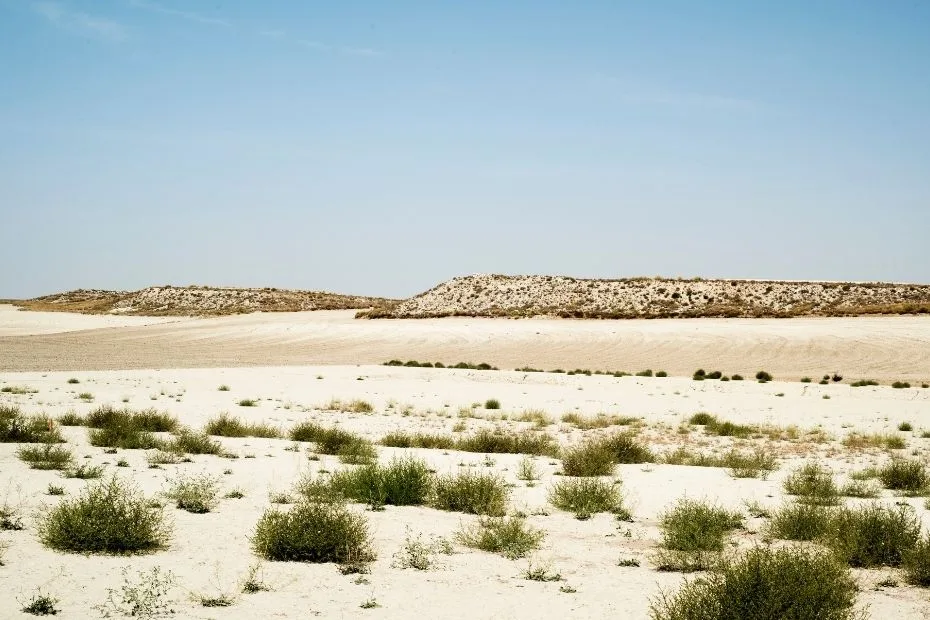 Monegros Desert