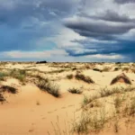 Oleshky Sands desert (1)