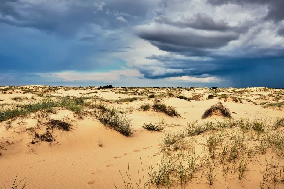 Oleshky Sands desert (1)