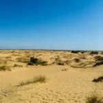 Oleshky Sands desert