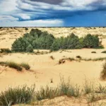 Oleshky Sands desert (2)