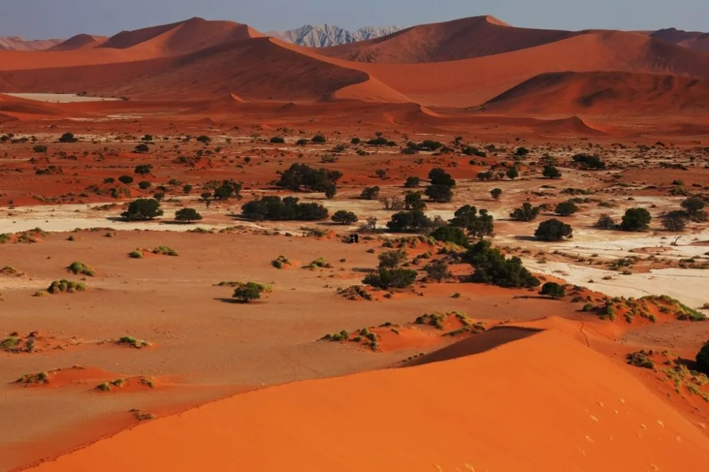 namib desert (1)