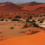 namib desert (1)