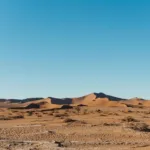 namib desert (5)
