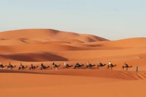 Sahara Desert