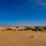 Lompoul Desert