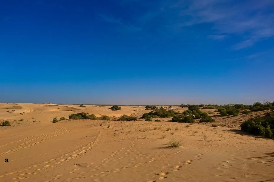 Lompoul Desert