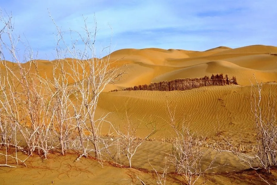 Taklamakan desert
