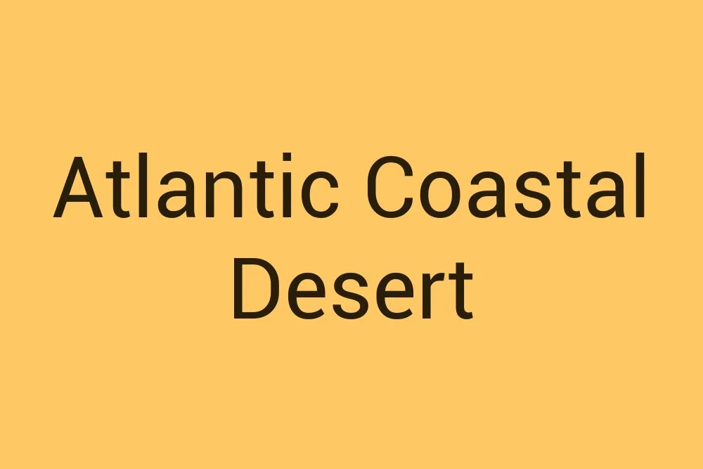 atlantic-coastal-desert