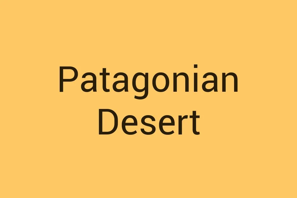 patagonian-desert