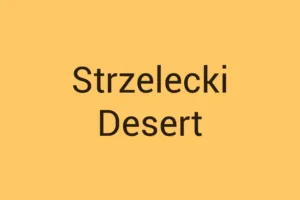 strzelecki-desert