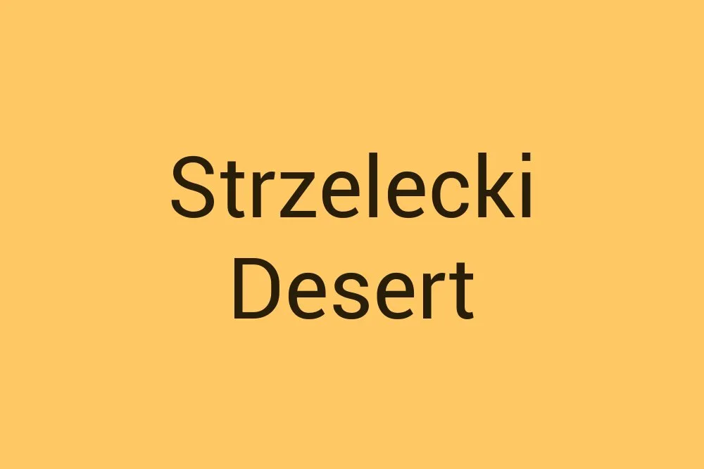 strzelecki-desert
