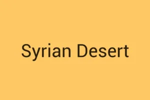 Syrian Desert