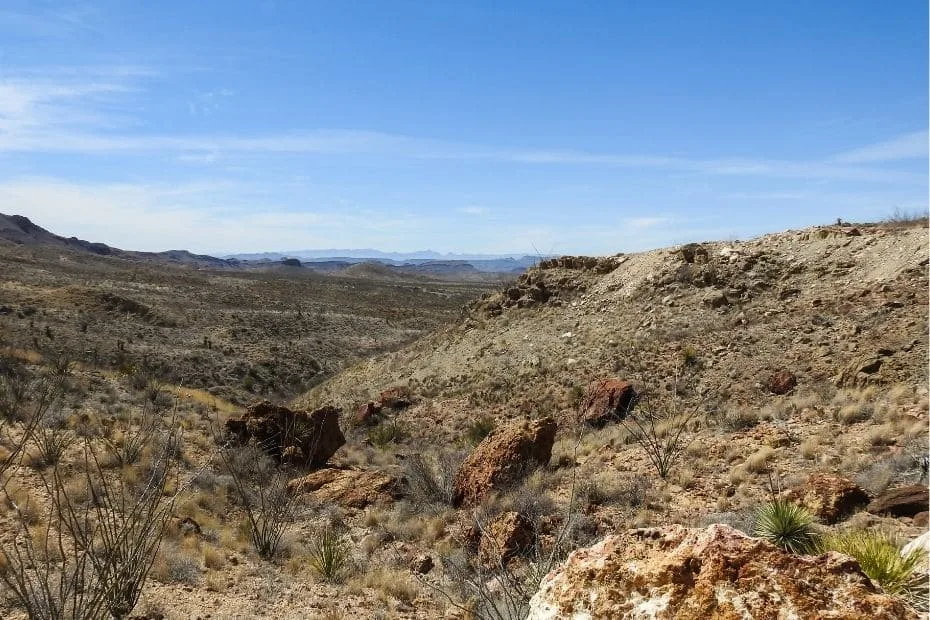Chihuahuan Desert (2) (1)
