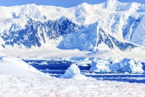 Antarctic Desert (Polar Desert)