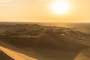 Empty Quarter (Rub' al Khali) Desert