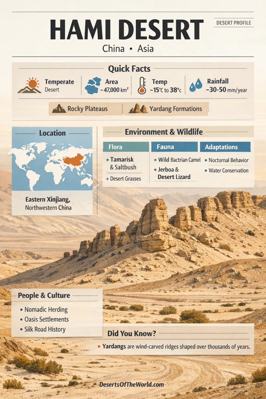 Infographic poster of Hami Desert showing map of China, climate data, wildlife, yardangs, and key facts over desert background.