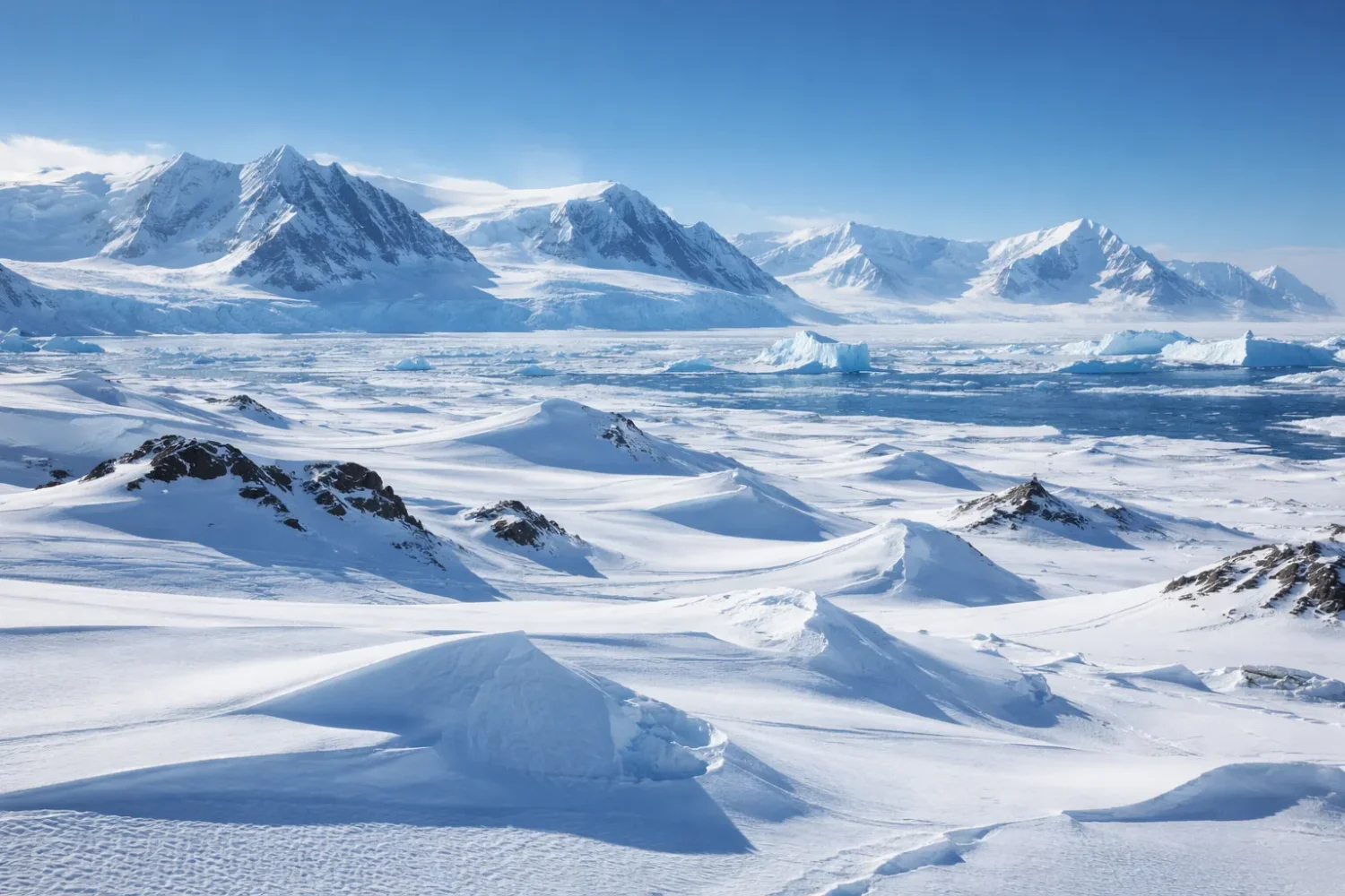 Antarctic Desert: Complete Guide to the World’s Largest Desert