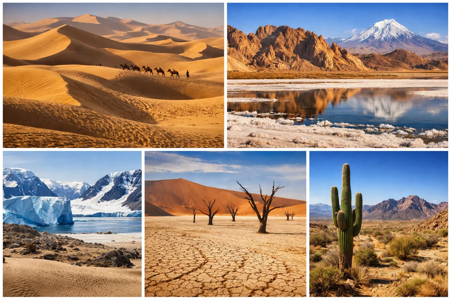 Panoramic collage of diverse desert landscapes including sand dunes, salt flats, cracked earth, cactus desert, and polar desert scenes