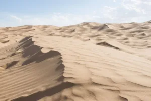 A vast sandy landscape of the Tengger Desert with rolling dunes under a clear sky.