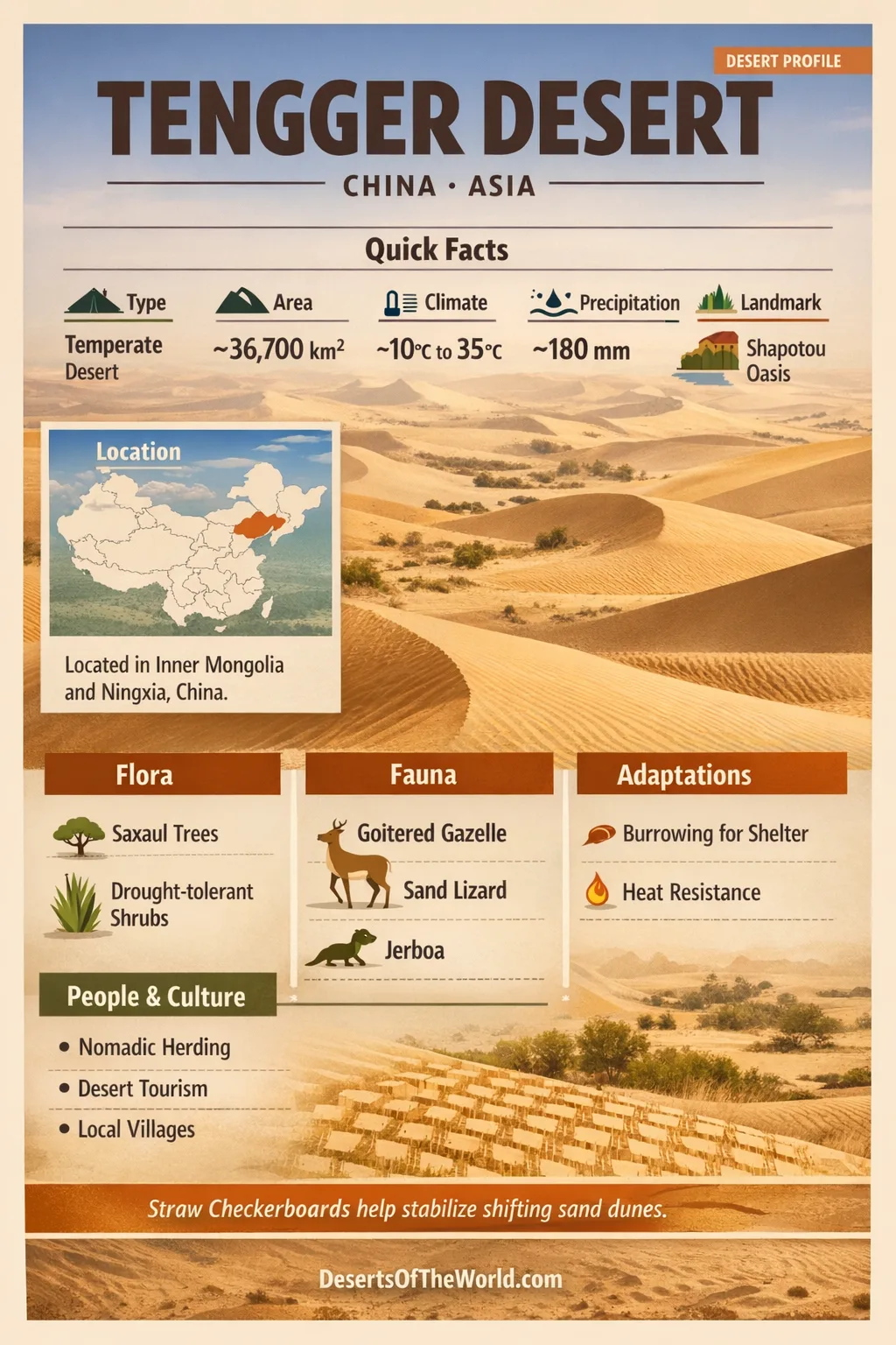 Infographic poster of Tengger Desert showing map, climate data, wildlife, dunes, and Shapotou oasis over sandy background with icons.