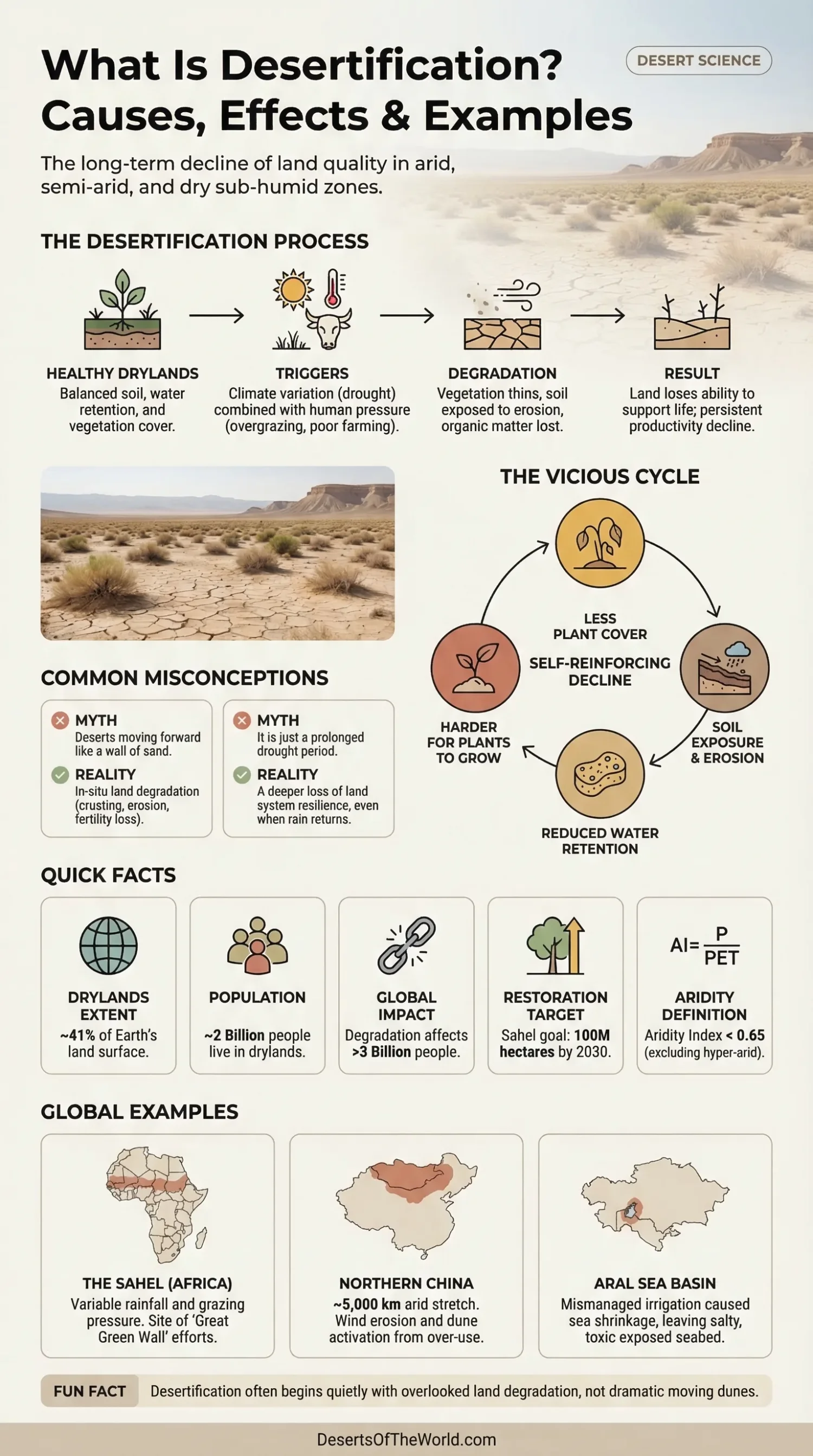 Desertification, shown here with a dry, cracked land surface, occurs when fertile land turns into desert due to various causes.