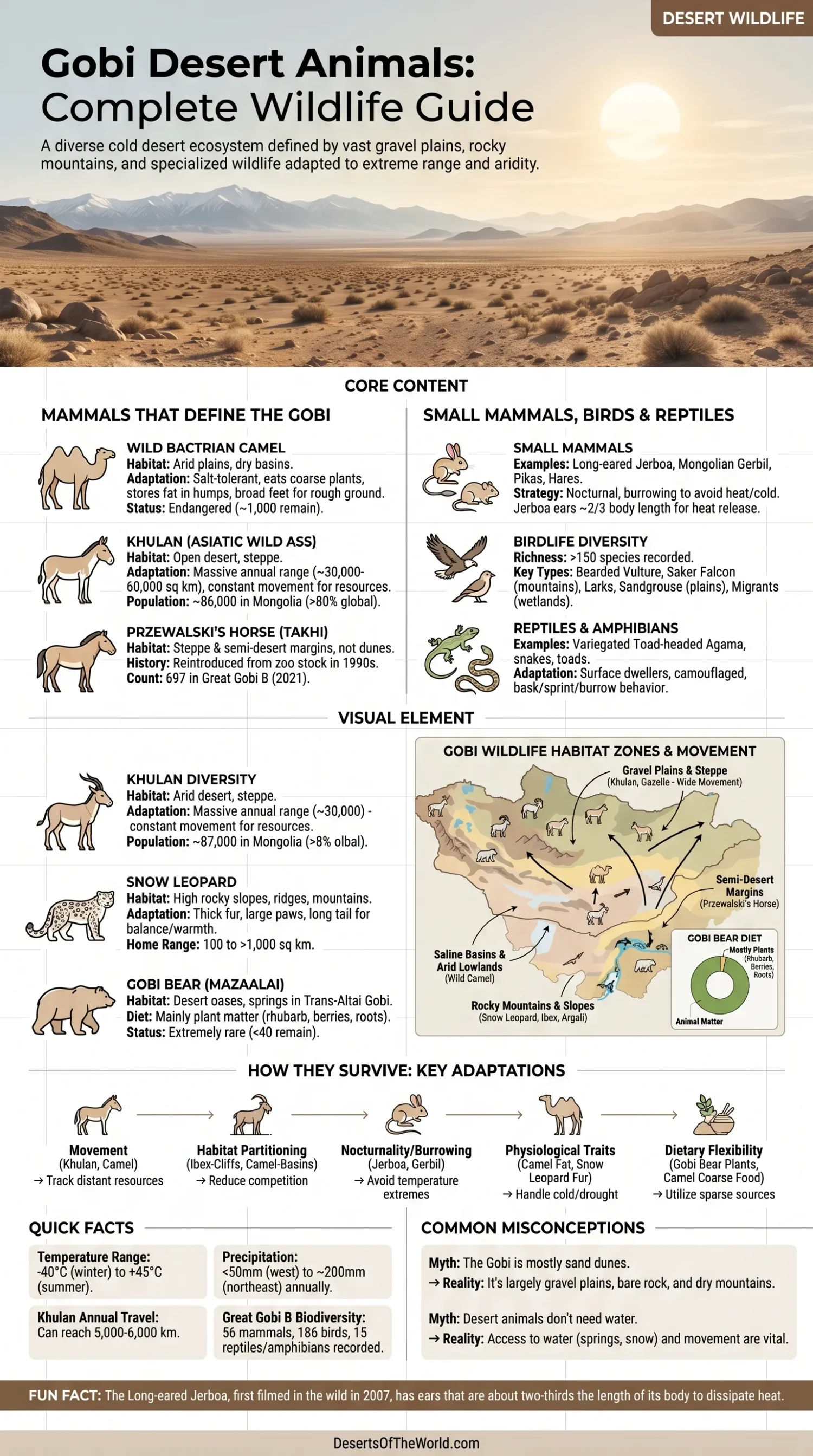 Gobi Desert animals, including Bactrian camels and rare creatures adapted to extreme desert conditions.